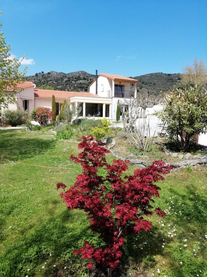 Chèvrefeuille chambre d'hôtes Molitg-les-Bains Extérieur photo